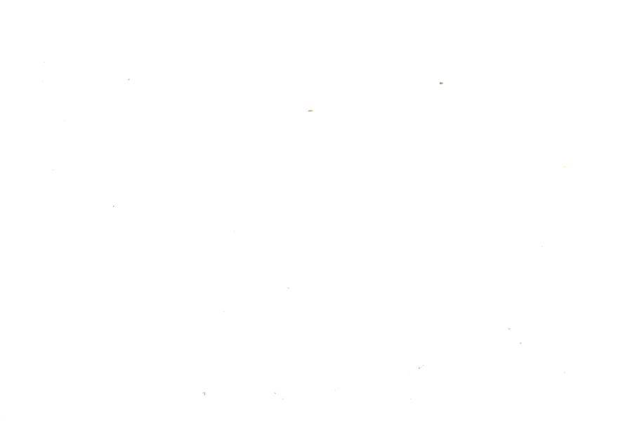 Image 30